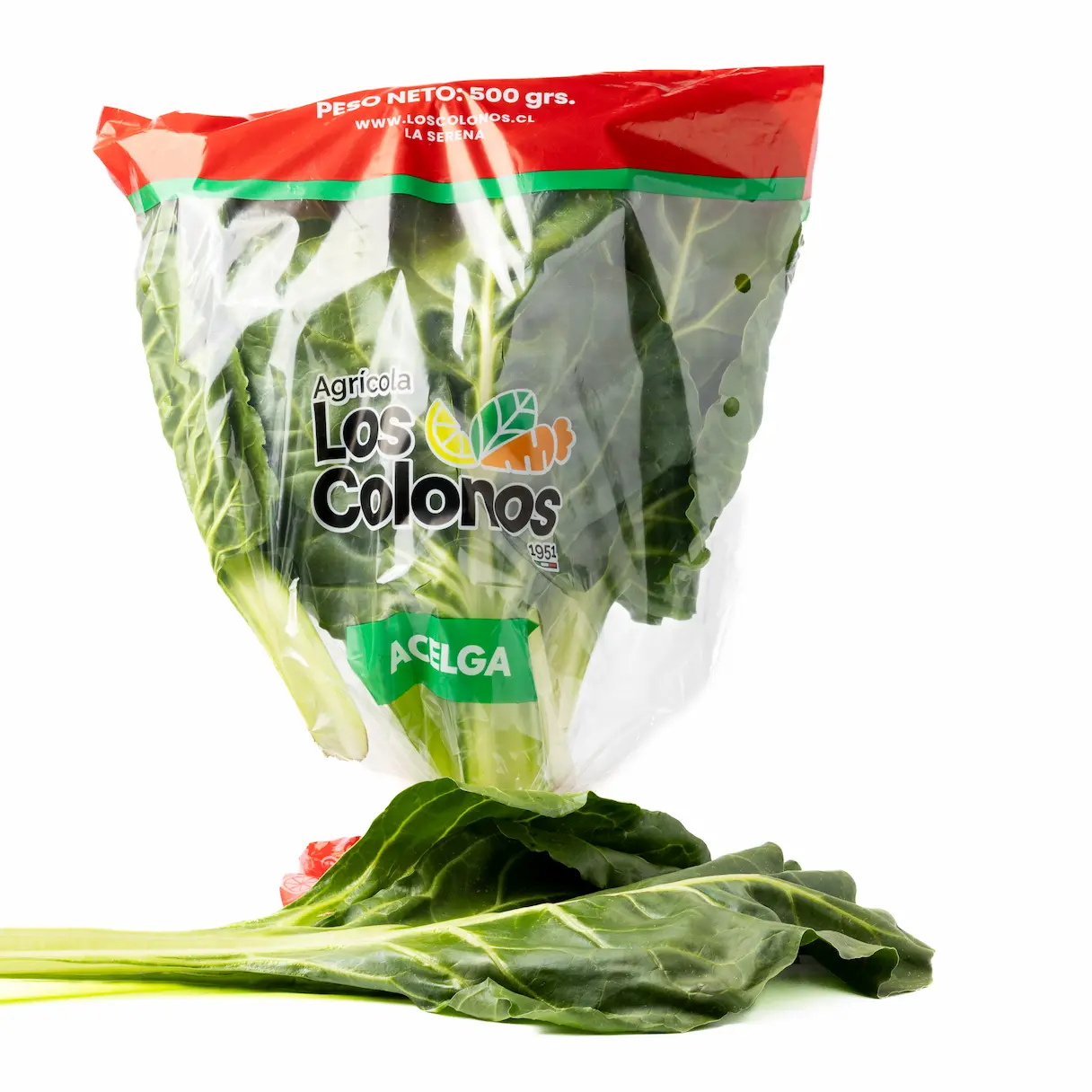 Producto 12