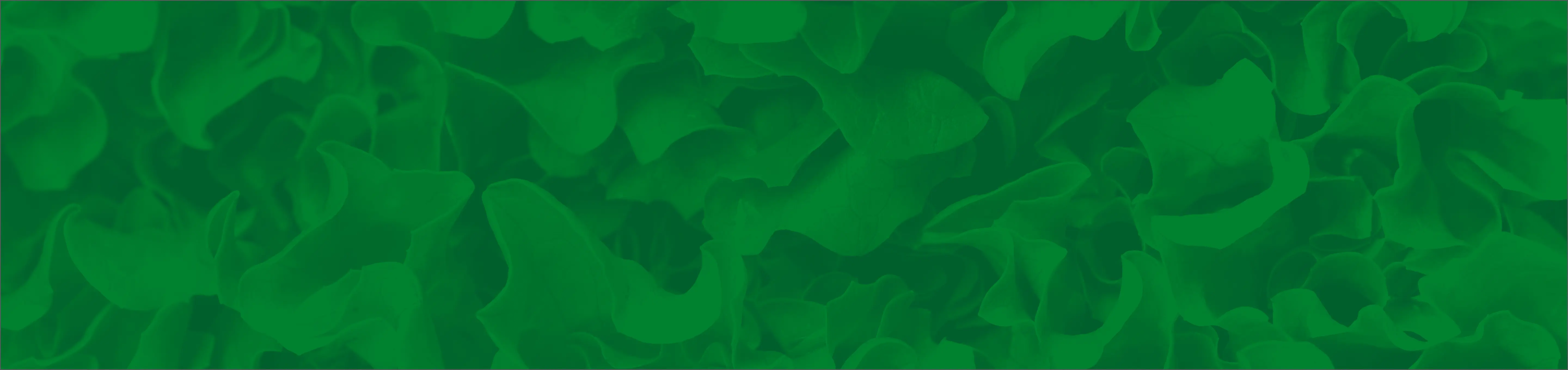 Banner Los Colonos